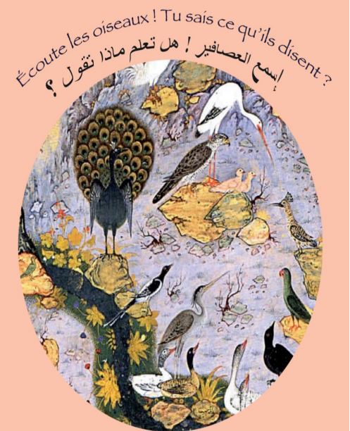Ecoute les oiseaux