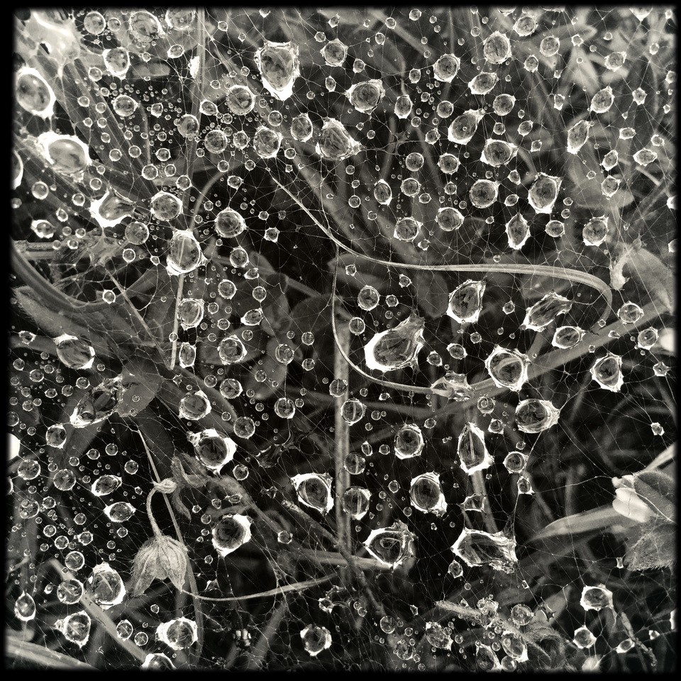 Gouttes d'eau