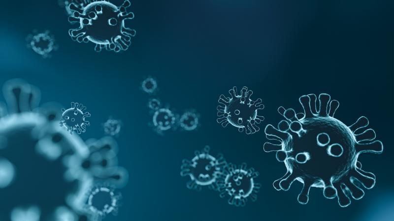 Corona virus